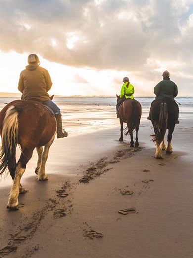 caballo-playa-elpalmar2